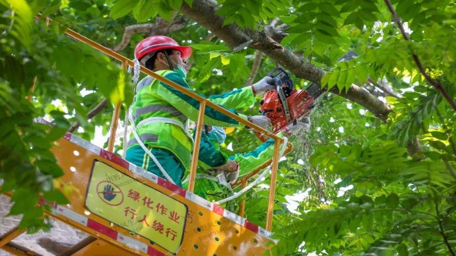 必威：坦克大战游戏3d对电脑要求