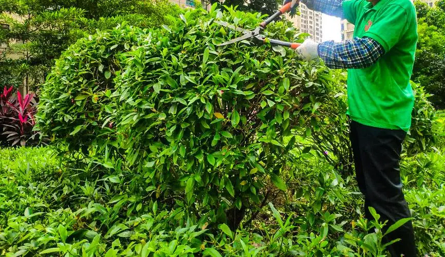 betway必威西汉姆联官网：多人联机游戏不是3d